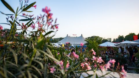 Tollwood Sommerfestival 2022