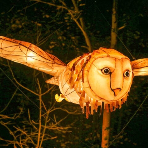 Barn.Owl WALKACT Tollwood WiFe C Thingumajig Theatre