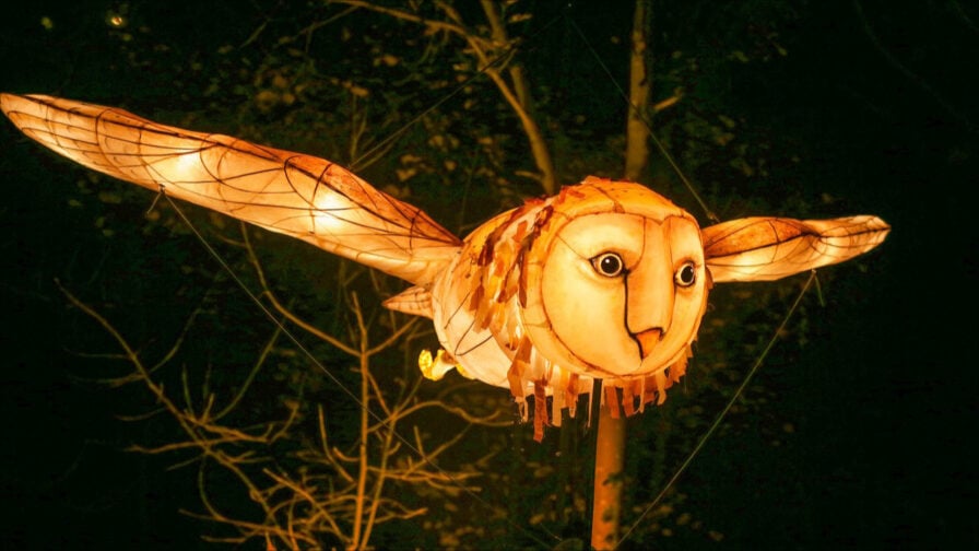 Barn.Owl WALKACT Tollwood WiFe C Thingumajig Theatre